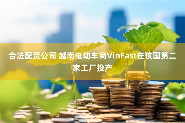 合法配资公司 越南电动车商VinFast在该国第二家工厂投产