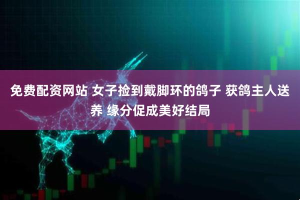 免费配资网站 女子捡到戴脚环的鸽子 获鸽主人送养 缘分促成美好结局