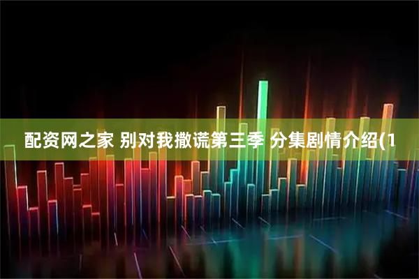 配资网之家 别对我撒谎第三季 分集剧情介绍(1